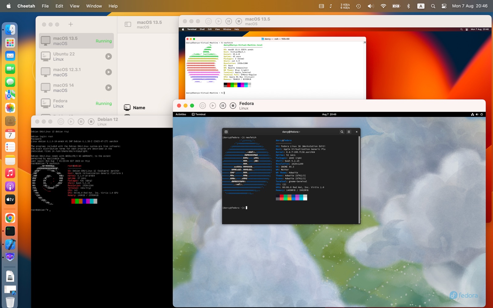Multiple VMs